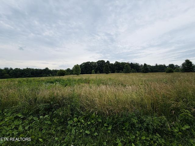 98 Tyler Tr, Jamestown, TN 38556