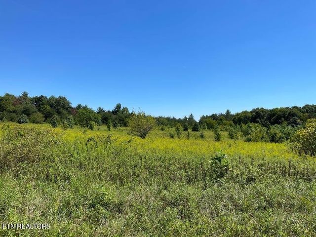 98 Tyler Tr, Jamestown, TN 38556