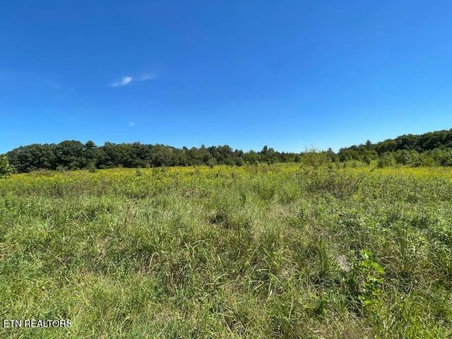 98 Tyler Tr, Jamestown, TN 38556
