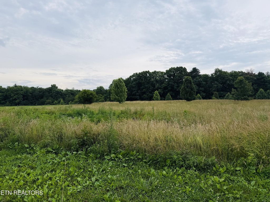 98 Tyler Tr, Jamestown, TN 38556