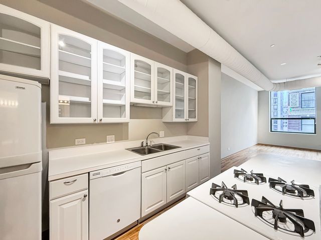 910 S Michigan Avenue 1009, Chicago, IL 60605