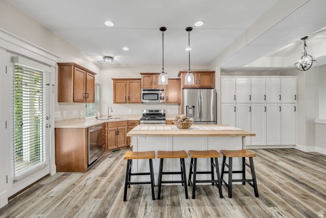 1099 E EAST GARDEN BEND PL, Sandy, UT 84094