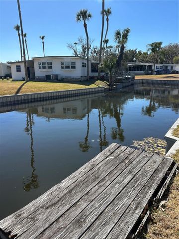 40 SABAL PALM CIRCLE, Eustis, FL 32726