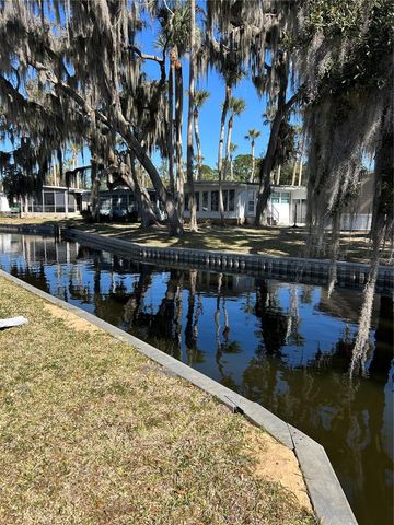 40 SABAL PALM CIRCLE, Eustis, FL 32726