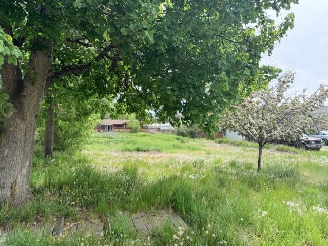 240 Daly Avenue, Hamilton, MT 59840