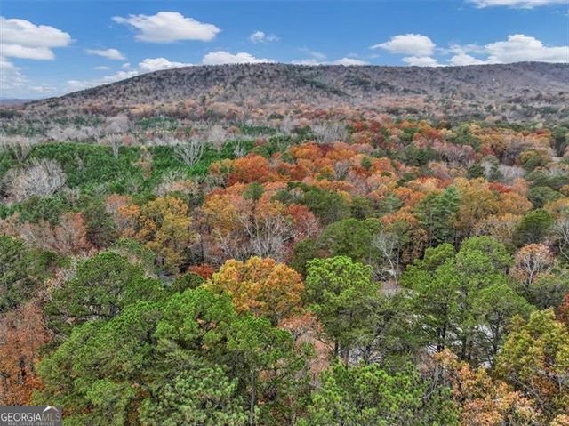 105 INDIAN OAK Drive, Waleska, GA 30183