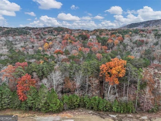 105 INDIAN OAK Drive, Waleska, GA 30183