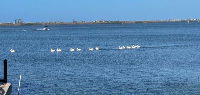 7500 PARK POINTE DRIVE 13, Englewood, FL 34224