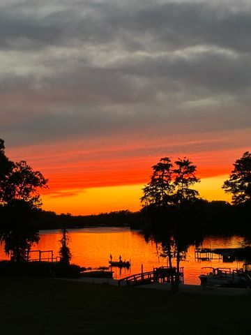1176 Lesesne Drive, Manning, SC 29102