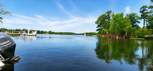 1176 Lesesne Drive, Manning, SC 29102