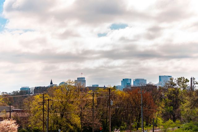 313 Edith Cir, Nashville, TN 37208