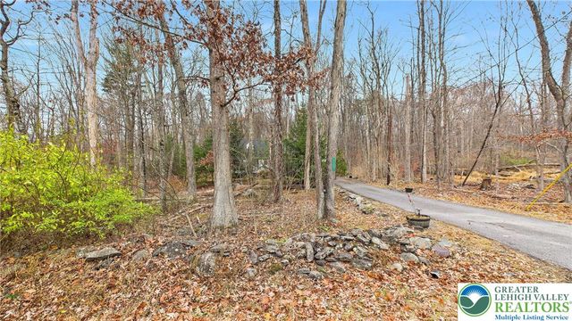 1208 Mattioli Road, Pocono Twp, PA 18321