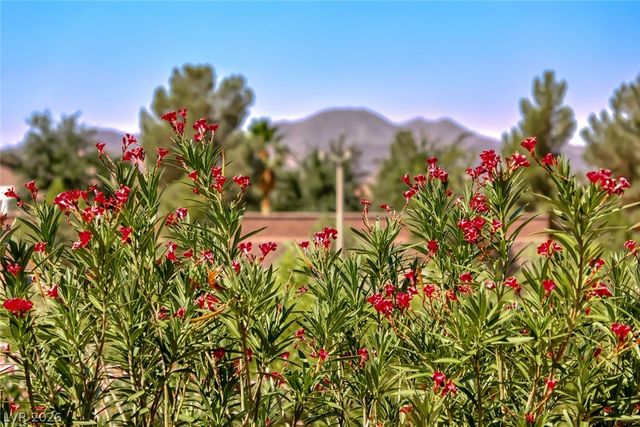 2343 Schaeffer Hills Drive, Henderson, NV 89052