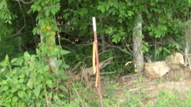 0 Livingston Hwy, Byrdstown, TN 38549