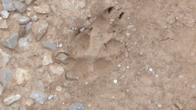 0 Livingston Hwy, Byrdstown, TN 38549