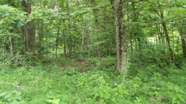 0 Livingston Hwy, Byrdstown, TN 38549