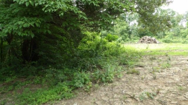 0 Livingston Hwy, Byrdstown, TN 38549