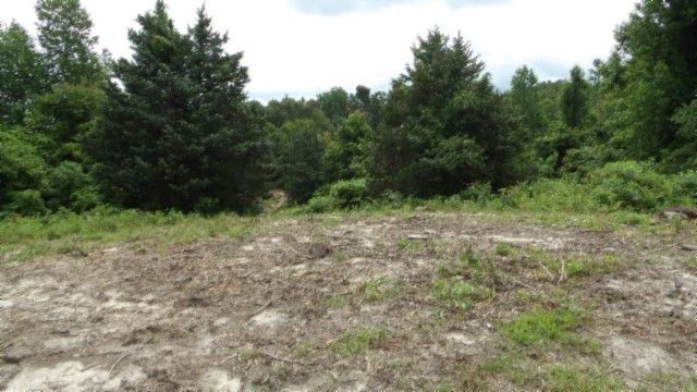 0 Livingston Hwy, Byrdstown, TN 38549
