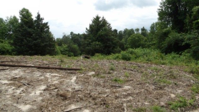 0 Livingston Hwy, Byrdstown, TN 38549