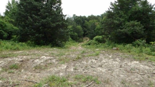 0 Livingston Hwy, Byrdstown, TN 38549