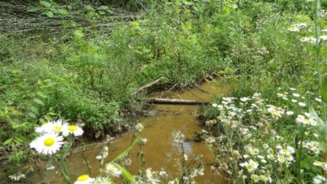 0 Livingston Hwy, Byrdstown, TN 38549