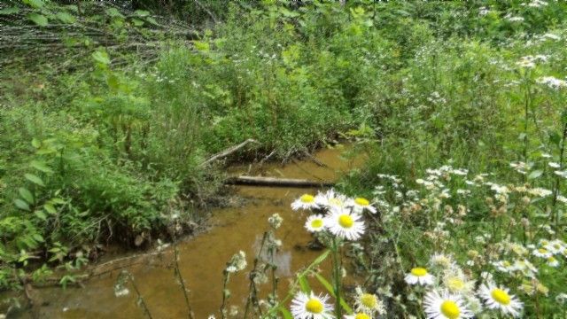 0 Livingston Hwy, Byrdstown, TN 38549