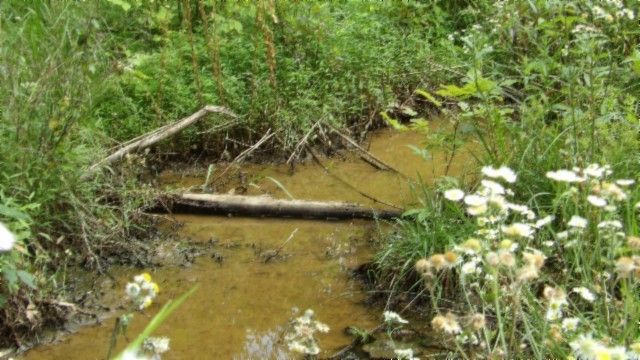 0 Livingston Hwy, Byrdstown, TN 38549