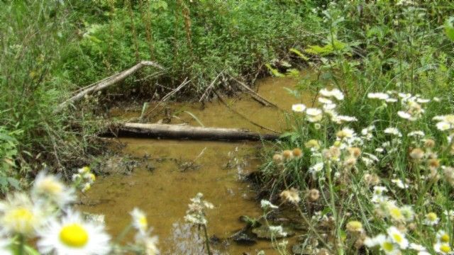 0 Livingston Hwy, Byrdstown, TN 38549