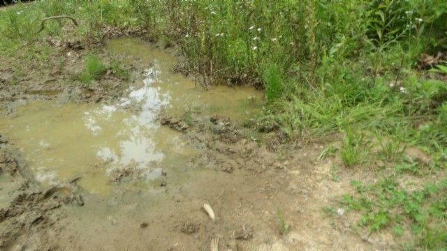 0 Livingston Hwy, Byrdstown, TN 38549