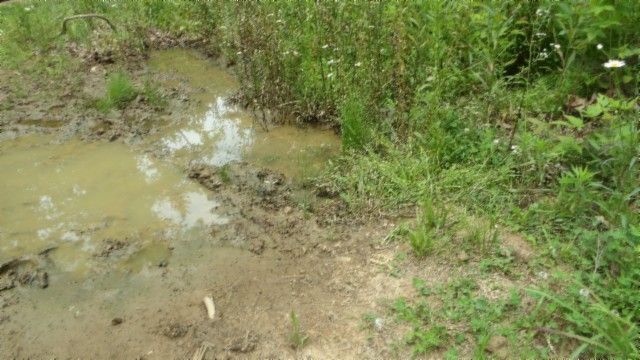 0 Livingston Hwy, Byrdstown, TN 38549