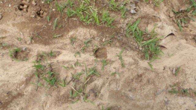 0 Livingston Hwy, Byrdstown, TN 38549