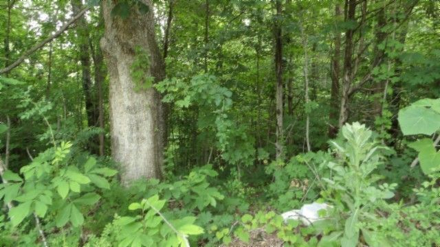 0 Livingston Hwy, Byrdstown, TN 38549
