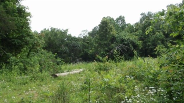 0 Livingston Hwy, Byrdstown, TN 38549