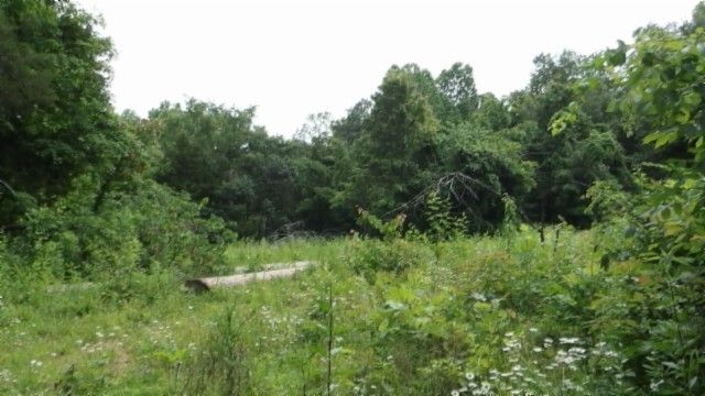 0 Livingston Hwy, Byrdstown, TN 38549