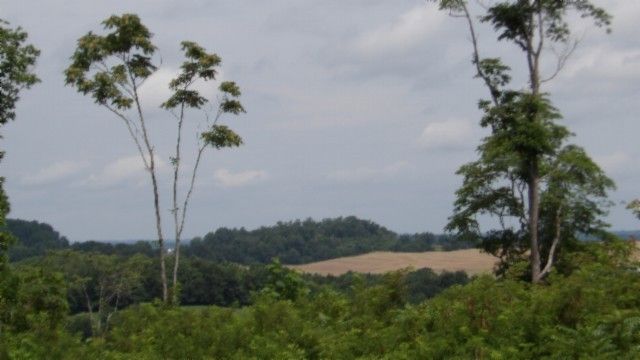 0 Livingston Hwy, Byrdstown, TN 38549