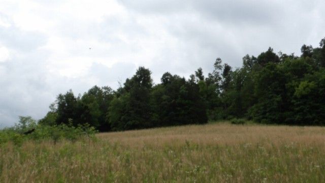 0 Livingston Hwy, Byrdstown, TN 38549
