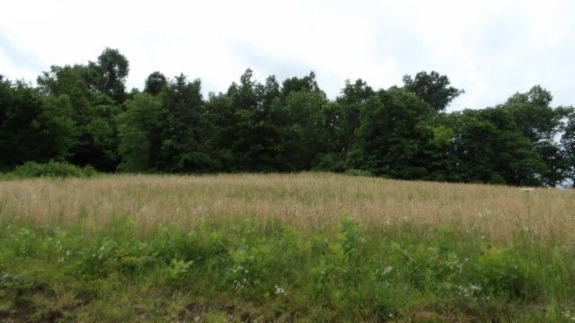 0 Livingston Hwy, Byrdstown, TN 38549