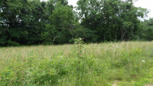 0 Livingston Hwy, Byrdstown, TN 38549