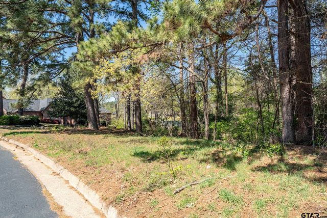 4002 Pinecreek Dr, Tyler, TX 75707