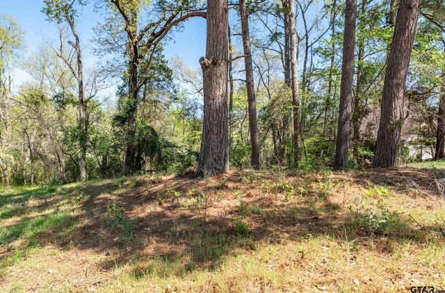 4002 Pinecreek Dr, Tyler, TX 75707