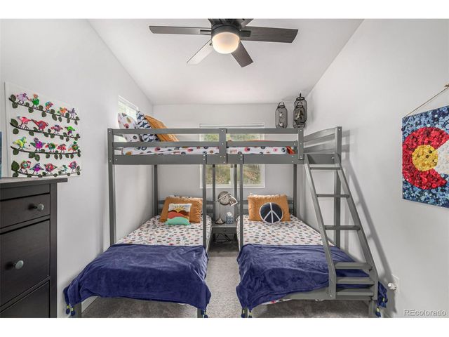 344 Redhill Rd, Fairplay, CO 80440