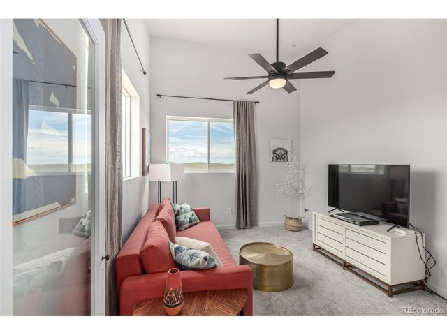 344 Redhill Rd, Fairplay, CO 80440