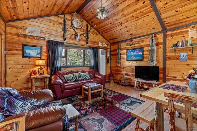 21608 HIGH COUNTRY LOOP, Deadwood, SD 57732