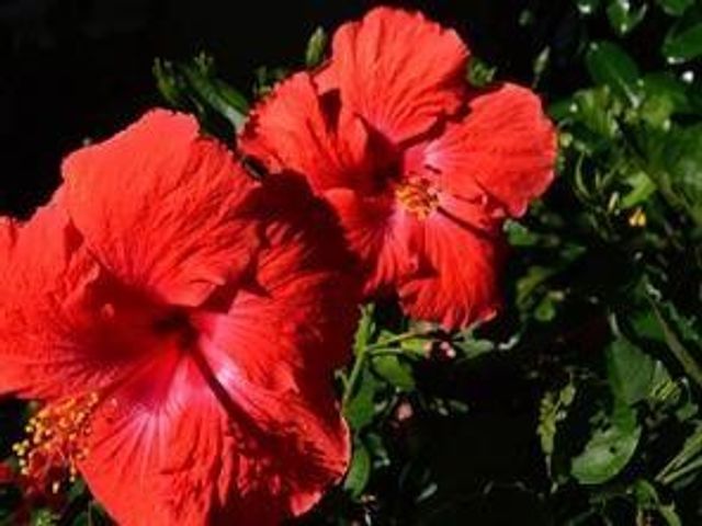 1815 Mooringline Drive 1D, Vero Beach, FL 32963