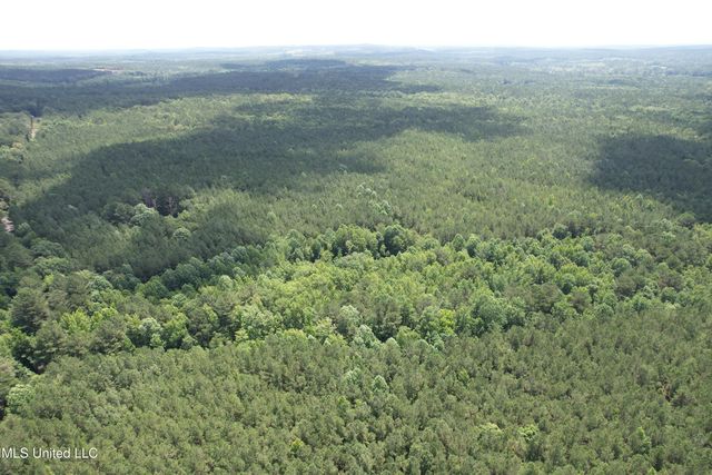 County Road 5204, Ethel, MS 39067