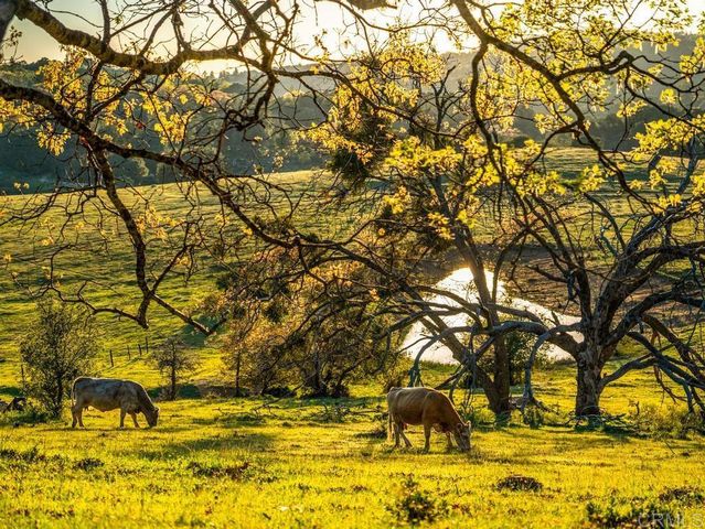 4430 Deer Lake Park Road, Julian, CA 92036