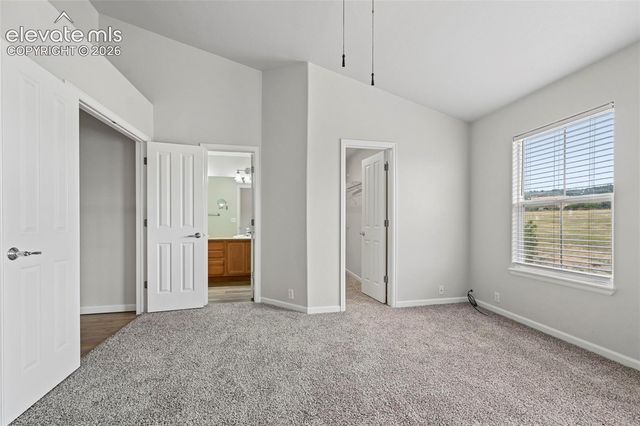 17067 Blue Mist Grove, Monument, CO 80132