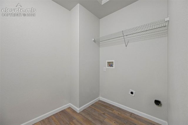 17067 Blue Mist Grove, Monument, CO 80132