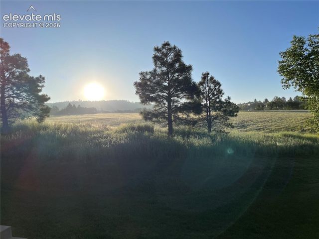 17067 Blue Mist Grove, Monument, CO 80132