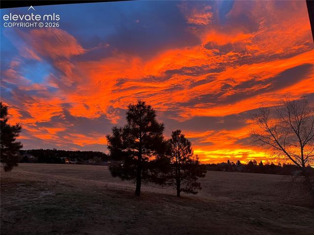 17067 Blue Mist Grove, Monument, CO 80132